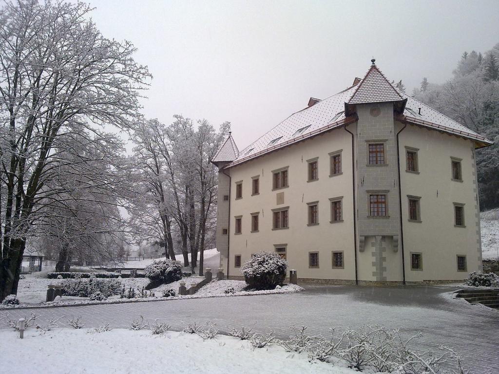 Lambergh Chateau & Hotel Dvorska Vas Exterior foto